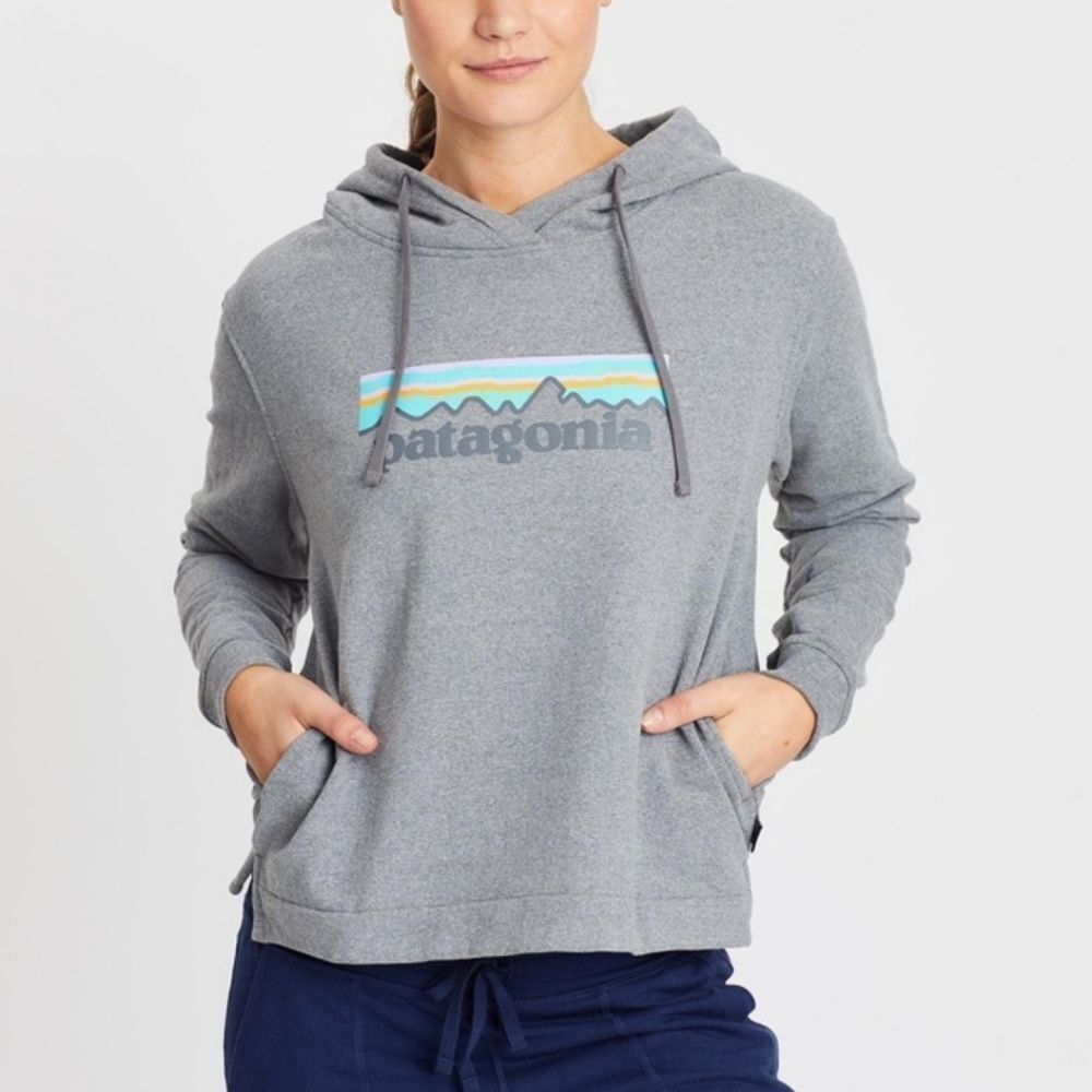Patagonia -859 Pastel Logo Uprisal‎ Hoddie - grey - Medium